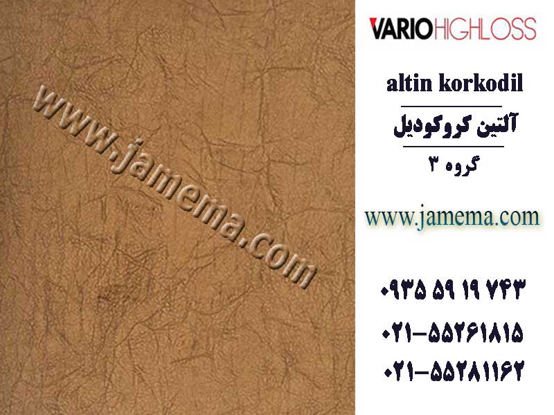 شرکت هایگلاس - واریو