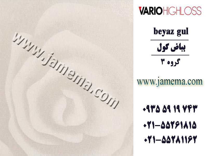 قیمت هایگلاس - واریو